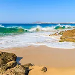 Isla De Lobos