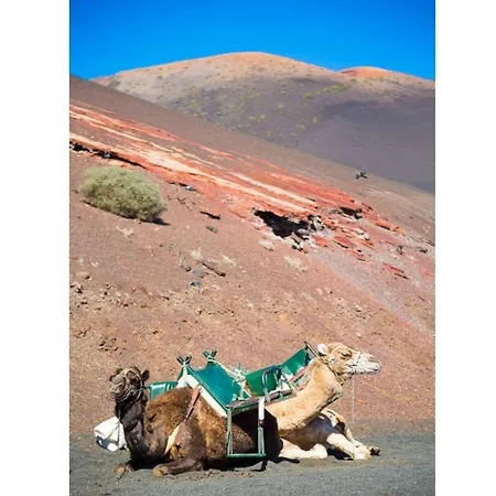 Isla De Lobos Willa *