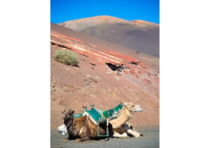 Isla De Lobos Willa *