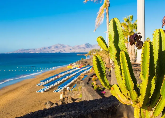 Isla De Lobos * بويرتو ذيل كارمين